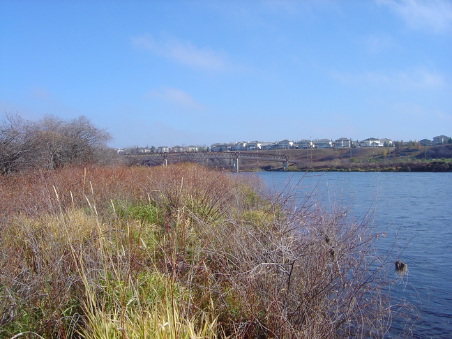 DSC03085
